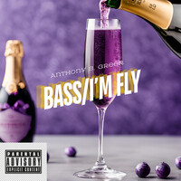 Bass / I'm Fly