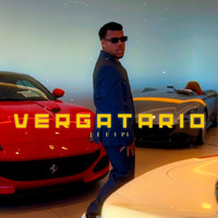 Vergatario