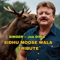 Sidhu Moose Wala Tribute (English Version)