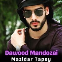 Mazidar Tapey