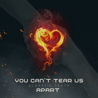 You Can't Tear Us Apart