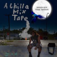 Bird on the Moon: A Chilla Mixtape