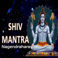 Shiv Mantra Nagendraharay