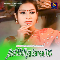 Jhol Moliya Saree Tor