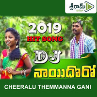 Cheeralu Themmanna Gani