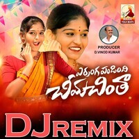 Erranga Pandindhi Seema Chintha (Dj Song)