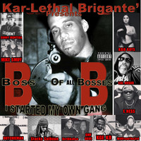 Boss of All Bosses Ent. Presents: I Started My Own Gang