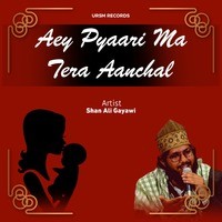 AEY PYAARI MA TERA AANCHAL