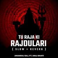 Tu Raja Ki Rajdulari (Slow & Reverb)
