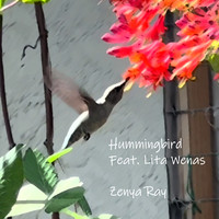 Hummingbird