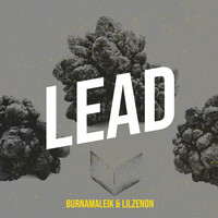 Lead