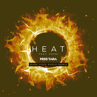 Heat (Radio Remix) [feat. Ashni & Mark Voss]