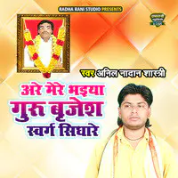 Arre Mere Bhaiya Guru Brijesh Swarg Sidhare