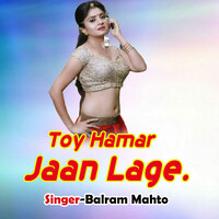 Toy Hamar Jaan Lage.