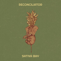 Reconciliator