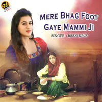 Mere Bhag Foot Gaye Mammi Ji