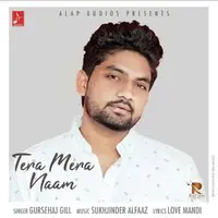 Tera Mera Naam