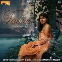 Taare - Cover Song