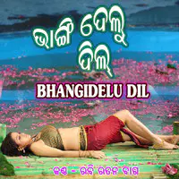 Bhangidelu Dil