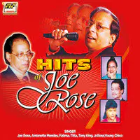 Hits of Joe Rose