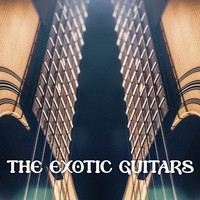 The Exotic Guitars