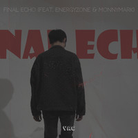 Final Echo