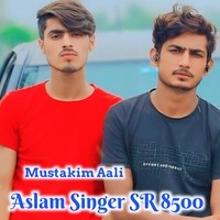 Aslam Singer Sr 8500