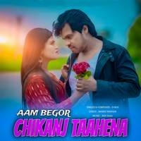 Aam Begor Chikanj Taahena