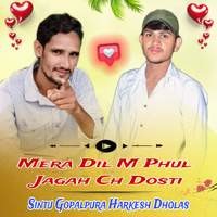 Mera Dil M Phul Jagah Ch Dosti