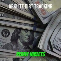 Arklite Dirt Tracking