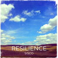 Resilience