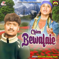 Chien Bewafaie