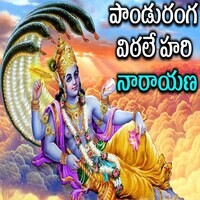 Panduranga Vintale Hari Narayaana Song