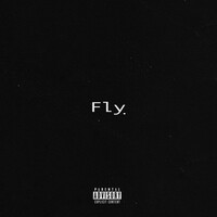 Fly