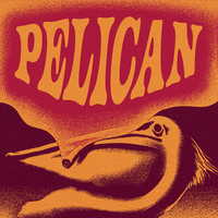 Pelican