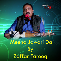 Meena Jawari Da