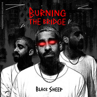 Burning The Bridge