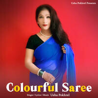 Colourful Saree