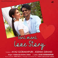 Teri Meri Love Story