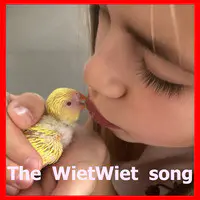 The WietWiet Song