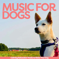 Music for Dogs - Calming Relaxation Tracks to Relax Your Dog