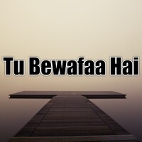 Tu Bewafaa Hai