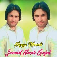 Junaid Nasir Gajal