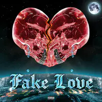 Fake Love