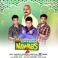 Hyderabad Nawabs 2