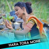 Hara Tora Mone