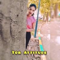 Tor Attitude