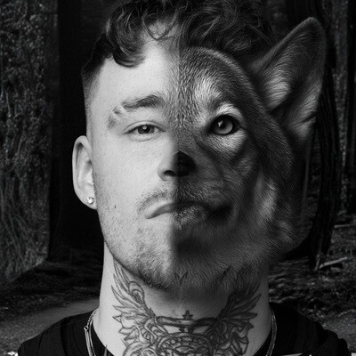 Wolves