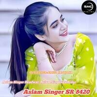 Aslam Singer SR 8420