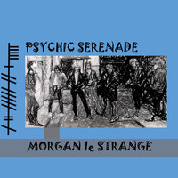 Psychedelic Serenade